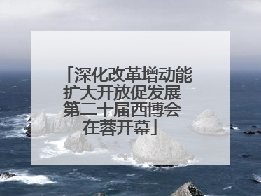 深化改革增动能 扩大开放促发展 第二十届西博会在蓉开幕