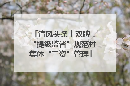 清风头条丨双牌：“提级监督”规范村集体“三资”管理