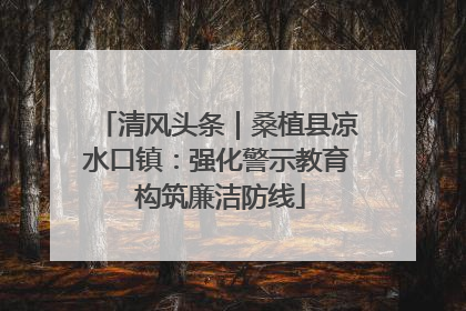 清风头条｜桑植县凉水口镇：强化警示教育 构筑廉洁防线