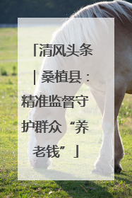 清风头条｜桑植县：精准监督守护群众“养老钱”