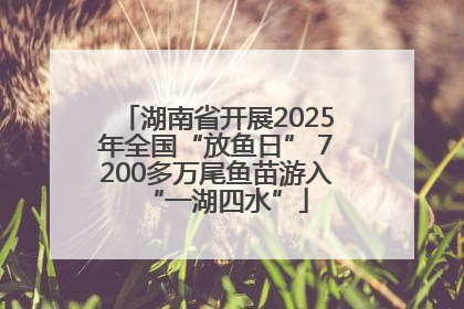湖南省开展2025年全国“放鱼日” 7200多万尾鱼苗游入“一湖四水”