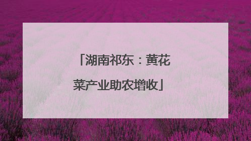 湖南祁东：黄花菜产业助农增收