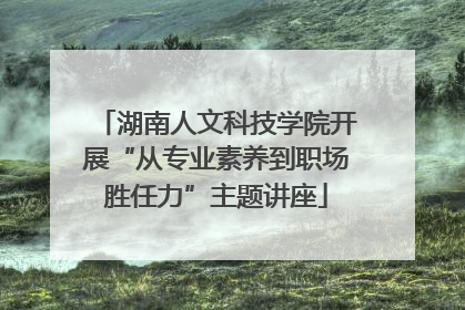 湖南人文科技学院开展“从专业素养到职场胜任力”主题讲座