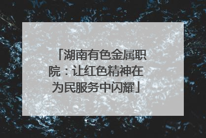 湖南有色金属职院：让红色精神在为民服务中闪耀