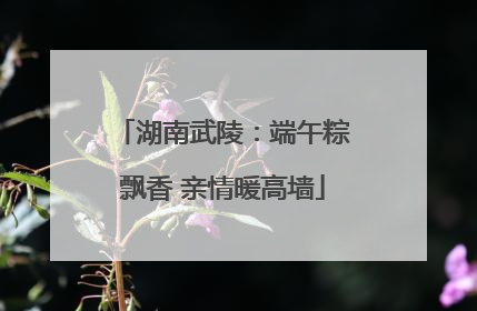 湖南武陵：端午粽飘香 亲情暖高墙