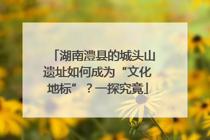 湖南澧县的城头山遗址如何成为“文化地标”？一探究竟