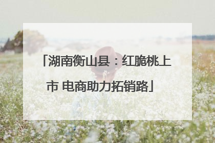 湖南衡山县：红脆桃上市 电商助力拓销路