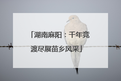 湖南麻阳：千年竞渡尽展苗乡风采