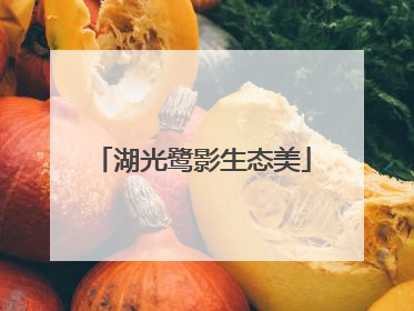 湖光鹭影生态美