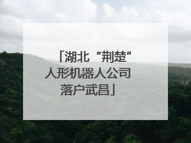 湖北“荆楚”人形机器人公司落户武昌