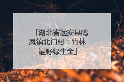 湖北省远安县鸣凤镇北门村：竹林遍野绿生金