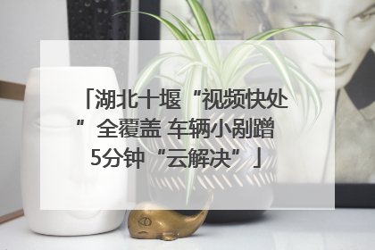 湖北十堰“视频快处”全覆盖 车辆小剐蹭5分钟“云解决”