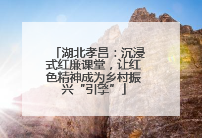 湖北孝昌：沉浸式红廉课堂，让红色精神成为乡村振兴“引擎”