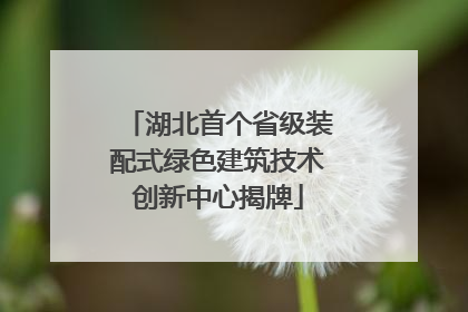 湖北首个省级装配式绿色建筑技术创新中心揭牌