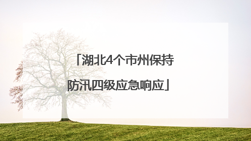 湖北4个市州保持防汛四级应急响应