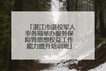 湛江市退役军人事务局举办服务保障暨思想权益工作能力提升培训班