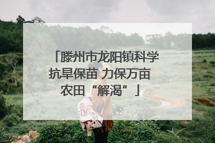滕州市龙阳镇科学抗旱保苗 力保万亩农田“解渴”