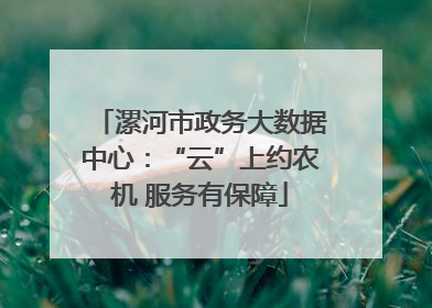 漯河市政务大数据中心：“云”上约农机 服务有保障