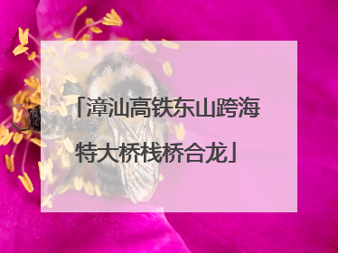 漳汕高铁东山跨海特大桥栈桥合龙