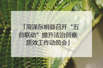 菏泽东明县召开“五督联动”提升法治督察质效工作动员会