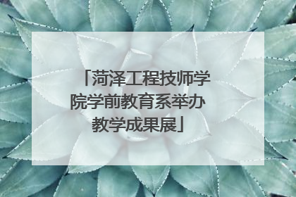 菏泽工程技师学院学前教育系举办教学成果展
