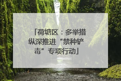 荷塘区：多举措纵深推进“禁种铲毒”专项行动