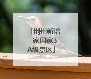 荆州新增一家国家3A级景区