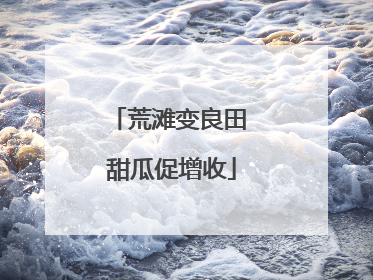 荒滩变良田 甜瓜促增收