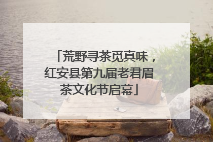 荒野寻茶觅真味，红安县第九届老君眉茶文化节启幕