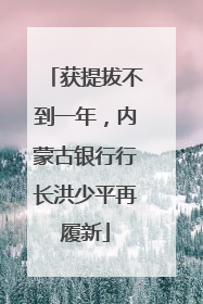 获提拔不到一年，内蒙古银行行长洪少平再履新