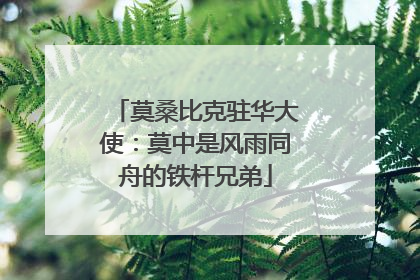 莫桑比克驻华大使：莫中是风雨同舟的铁杆兄弟