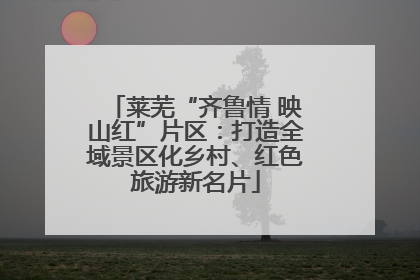 莱芜“齐鲁情 映山红”片区：打造全域景区化乡村、红色旅游新名片