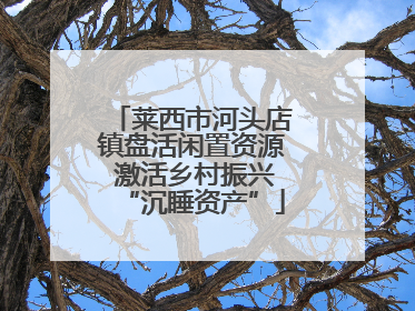 莱西市河头店镇盘活闲置资源 激活乡村振兴“沉睡资产”