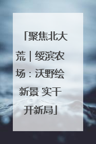 聚焦北大荒｜绥滨农场：沃野绘新景 实干开新局