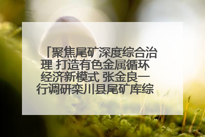 聚焦尾矿深度综合治理 打造有色金属循环经济新模式 张金良一行调研栾川县尾矿库综合治理工作