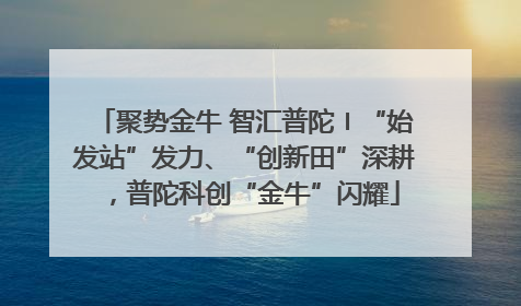 聚势金牛 智汇普陀〡“始发站”发力、“创新田”深耕，普陀科创“金牛”闪耀