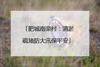 肥城南栾村：清淤疏堵防大汛保平安