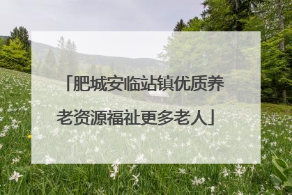 肥城安临站镇优质养老资源福祉更多老人