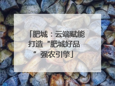 肥城：云端赋能 打造“肥城好品”强农引擎