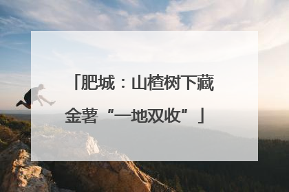肥城：山楂树下藏金薯“一地双收”