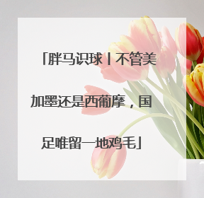 胖马识球丨不管美加墨还是西葡摩，国足唯留一地鸡毛