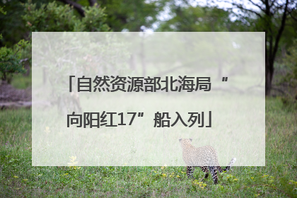 自然资源部北海局“向阳红17”船入列