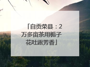 自贡荣县：2万多亩茶用栀子花吐露芳香