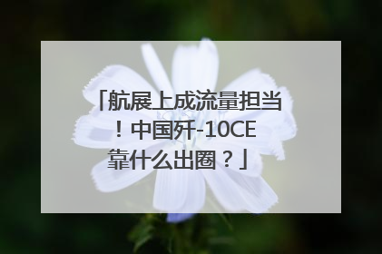航展上成流量担当！中国歼-10CE靠什么出圈？