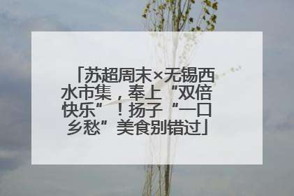 苏超周末×无锡西水市集，奉上“双倍快乐”！扬子“一口乡愁”美食别错过