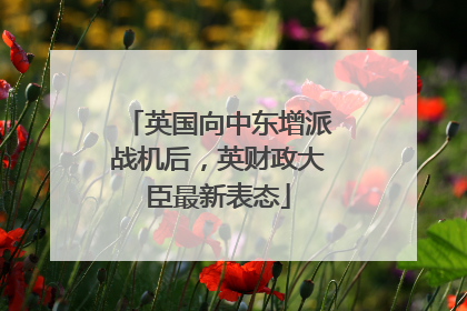 英国向中东增派战机后，英财政大臣最新表态