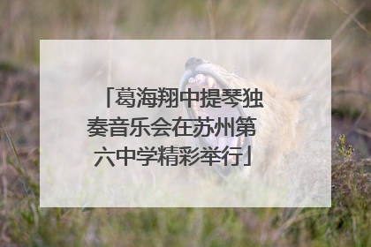 葛海翔中提琴独奏音乐会在苏州第六中学精彩举行