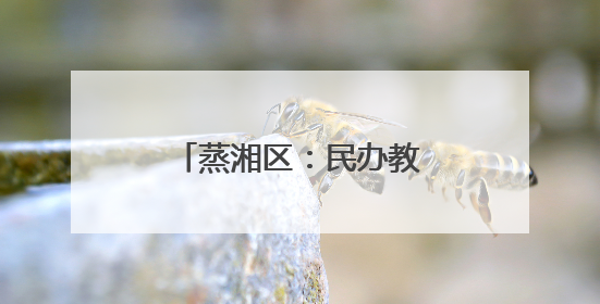 蒸湘区：民办教育要坚持党建引领、规范办学行为