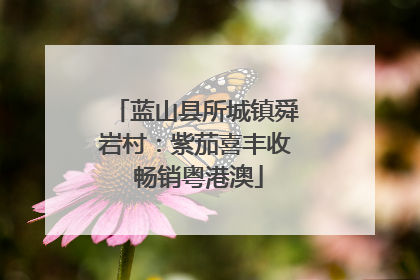 蓝山县所城镇舜岩村：紫茄喜丰收 畅销粤港澳