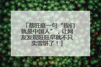 蔡旺庭一句“我们就是中国人”，让网友发现旺旺早就不只卖雪饼了！